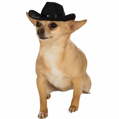 Cool Pet Dog Custom Wool Felt Cowboy Hat